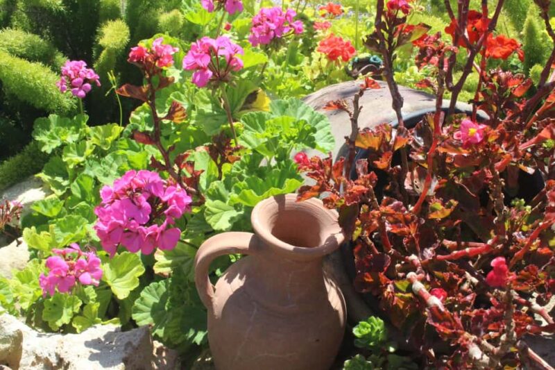 Marne: Champagne Region Private Day Tour with Lunch - Exploring the Vineyard and Grape Varieties