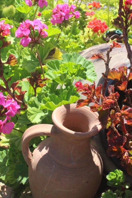 Marne: Champagne Region Private Day Tour with Lunch - Practical Details and Logistics