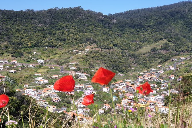 Maroços - Mimosa Valley - Exploring Madeira’s Old Aqueducts and Scenic Valley