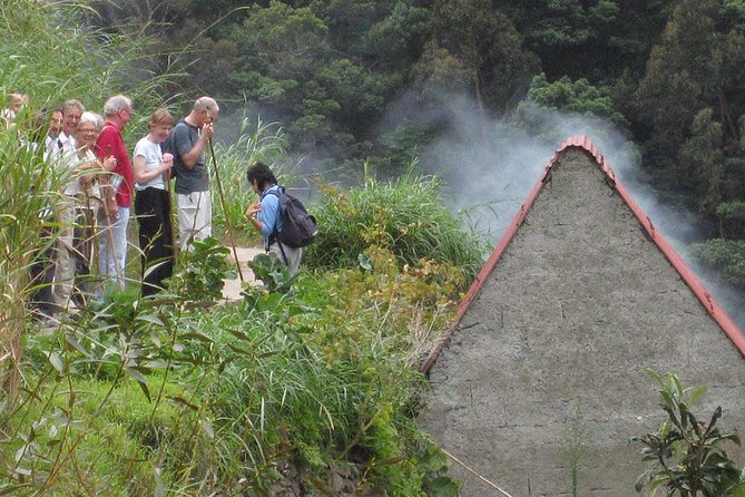 Maroços Mimosa Valley Levada Walk from Funchal - Guided Experience with Knowledgeable Guides