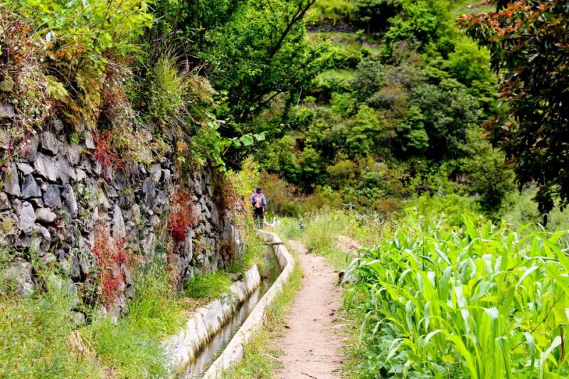 Maroços / Mimosa Valley - Levada Walk - Benefits Over Other Levada Walks in Madeira