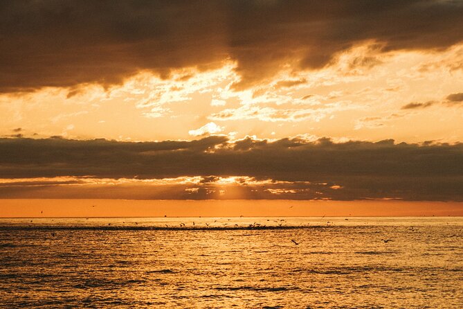 Marriage Proposal Boat Trip in Barcelona - Who Will Love This Experience?