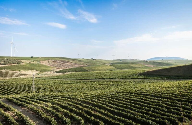 Marsala: Blindfolded Wine Tasting with Game and Gift - Frequently Asked Questions