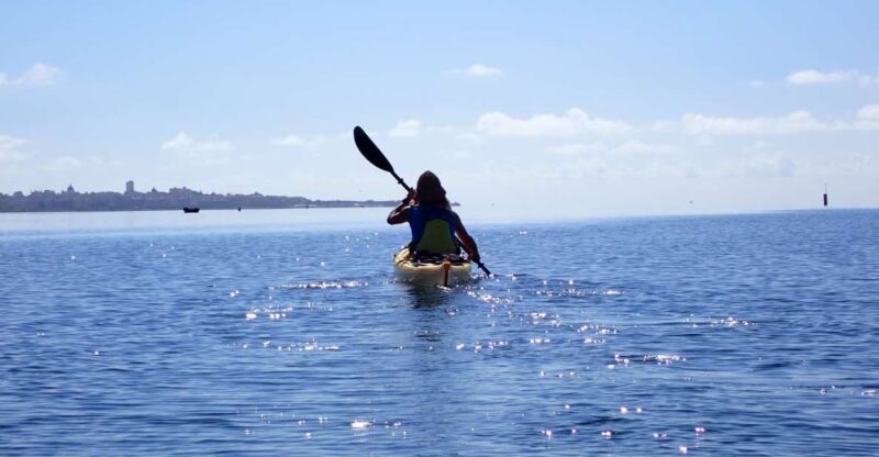 Marsala: Kayak Tour in Stagnone di Marsala Nature Reserve - The Abandoned Isola Schola and Its Birdlife