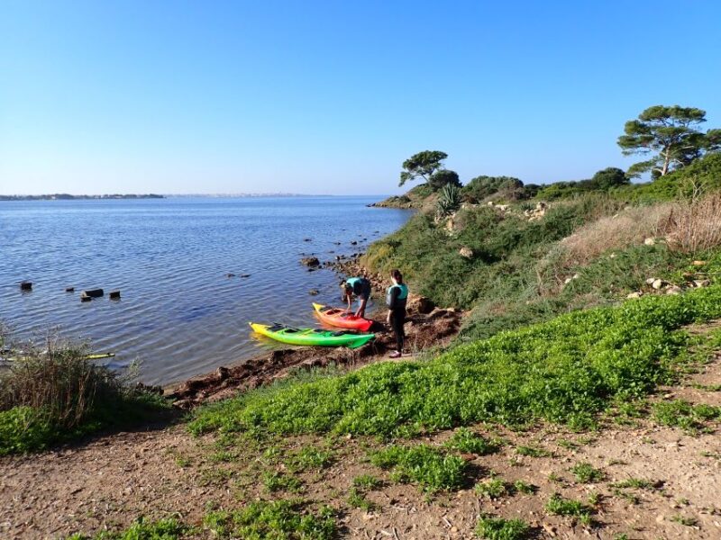 Marsala: Kayak Tour in Stagnone di Marsala Nature Reserve - Tasting Sicilian Flavors During the Stops