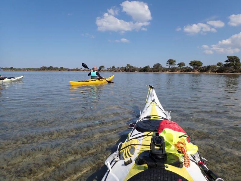 Marsala: Kayak Tour in Stagnone di Marsala Nature Reserve - Logistics and Group Experience