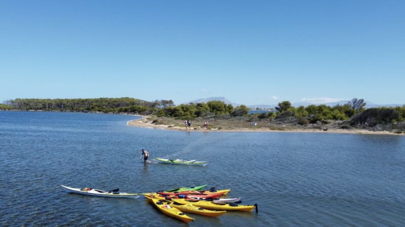 Marsala: Kayak Tour in Stagnone di Marsala Nature Reserve - Flexibility and Booking Policies