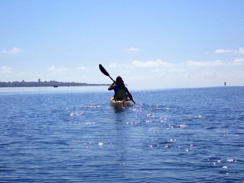 Marsala: Kayak Tour in Stagnone di Marsala Nature Reserve - Why Choose This Kayak Tour in Stagnone
