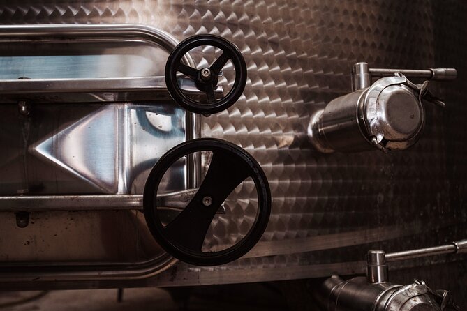 Marsala Tasting of 5 Sicilian organic wines - Meeting Point and Tour Logistics in Marsala