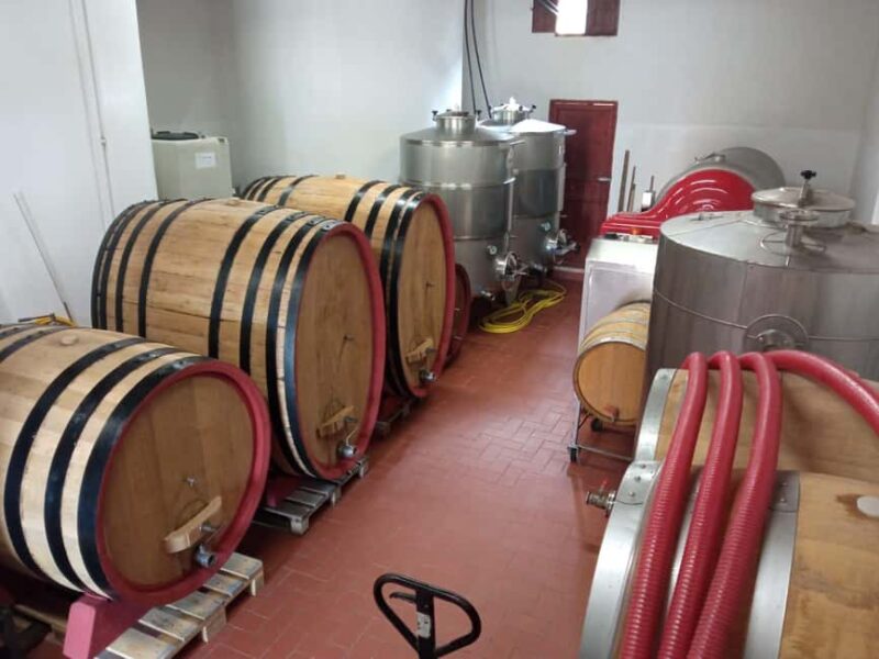 Marsala: Visit a Winery and Taste Artisanal Wines - Key Points