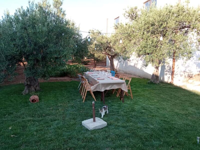 Marsala: Visit a Winery and Taste Artisanal Wines - Logistics: How the Tour is Organized