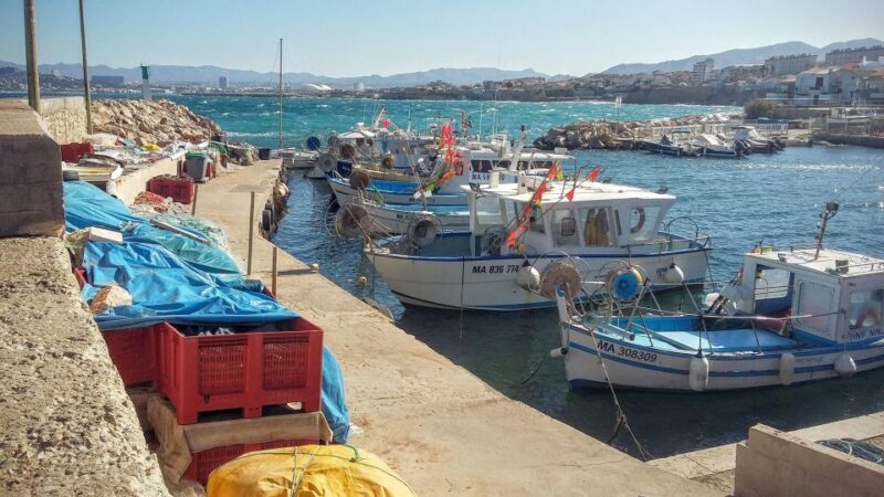 Marseille and Calanques ebike tour full day - What Past Participants Say About the Tour