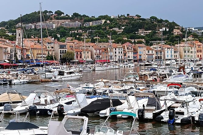Marseille and Cassis Private Full-Day Tour - Explore Marseilles Iconic Landmarks with a Local Guide