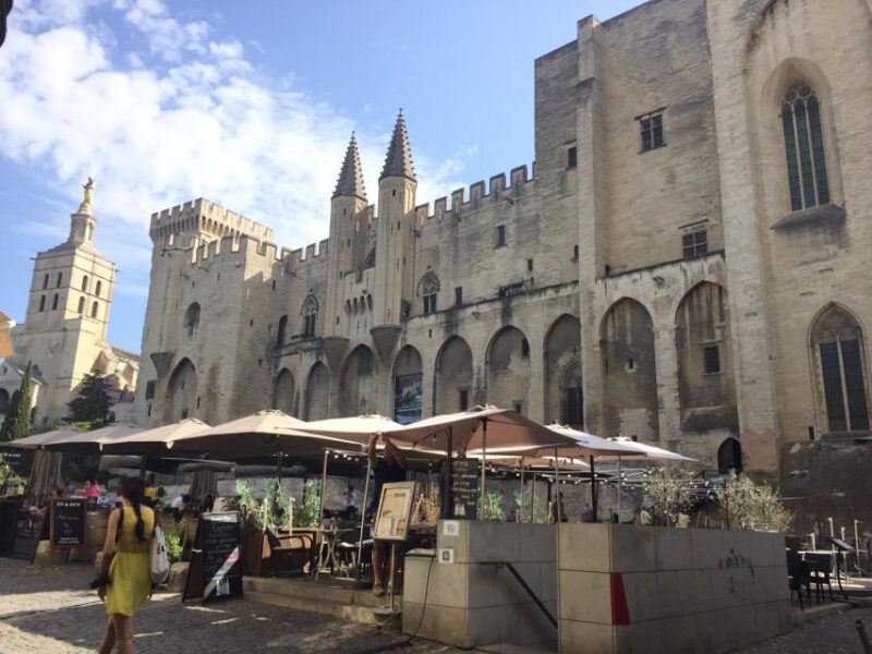 Marseille: Avignon and Côtes du Rhône Wine Tasting Tour - Flexibility and Additional Options
