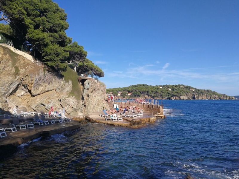 Marseille: Day Boat Ride in the Calanques with Wine Tasting - Anchoring in a Calm Cove for Wine Tasting and Taps
