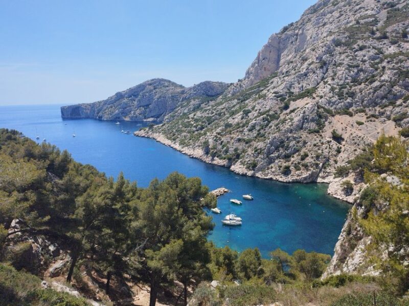 Marseille: Guided Hiking Calanques National Park from Luminy - The Route: Discovering Calanques’ Natural Beauty