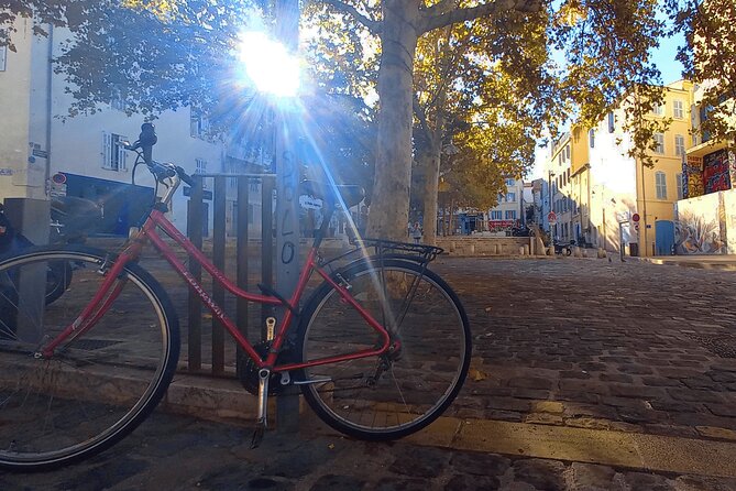 Marseille Guided Tour for 2.5 Hours with a Bilingual Local Guide - Panoramic views from Palais du Pharo