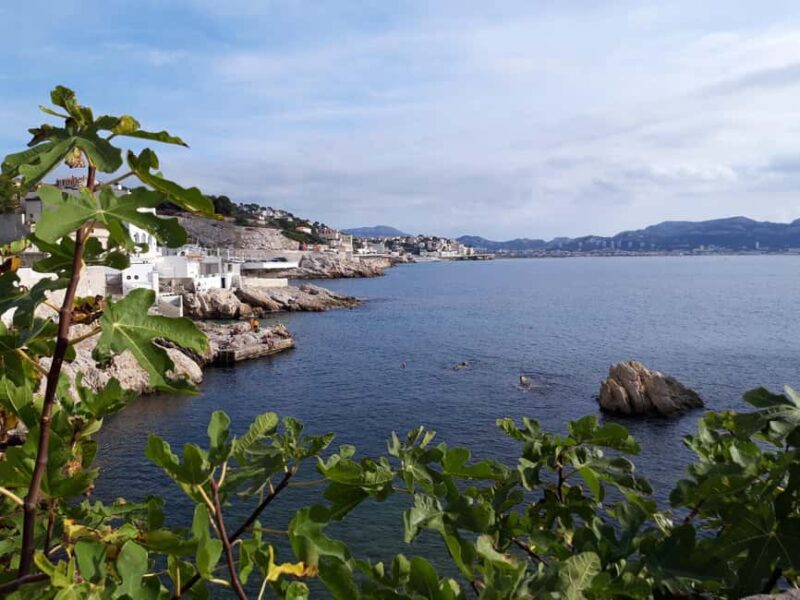 Marseille: Hidden Coves Exploration & Treasure Hunt - The Sum Up: A Playful, Local-Driven Marseille Adventure