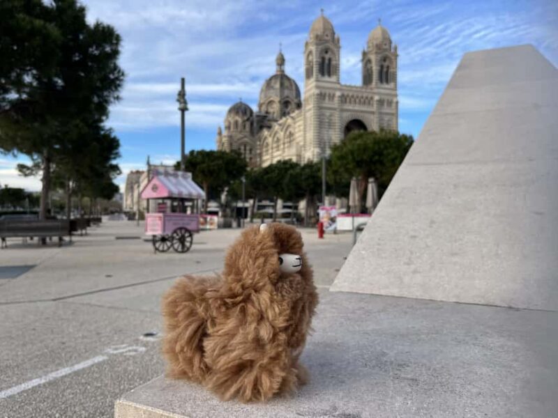 Marseille: Private Customised Walking 2-Hour Tour - Discover Marseille’s Historic Old Port and Its Vibrant Atmosphere