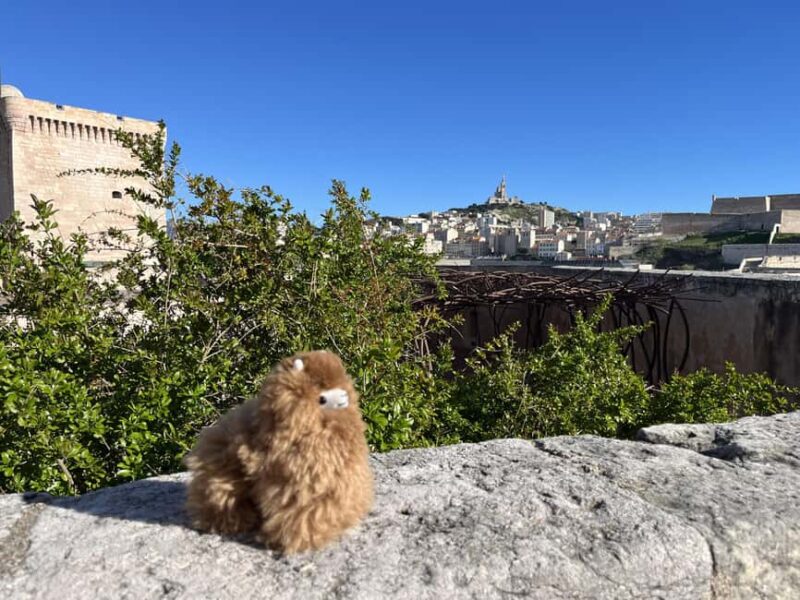 Marseille: Private Customised Walking 2-Hour Tour - Panoramic Views from Fort Saint-Jean and Architectural Highlights