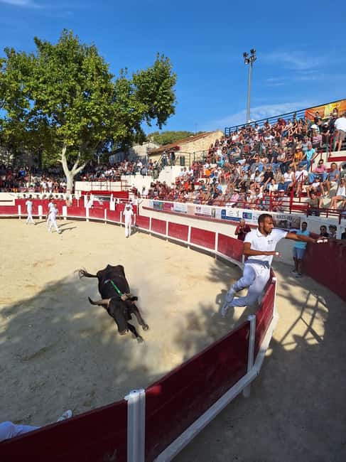 Marseille: The Camargue 8-Hour Guided Outing - The Guide Experience: Knowledgeable and Friendly Leadership