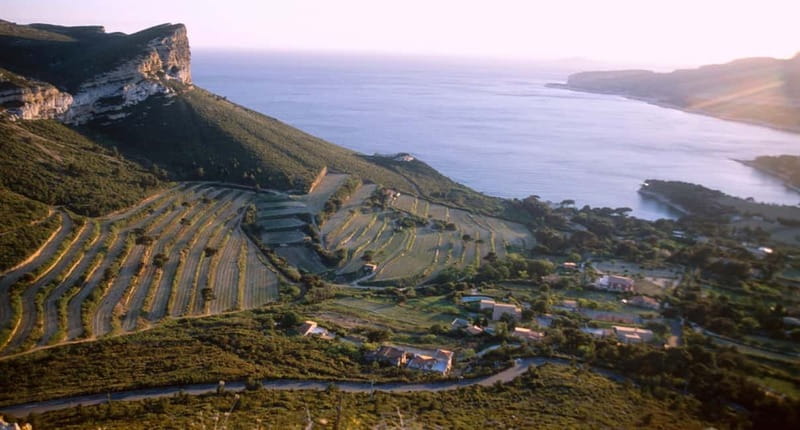 Marseille Vieux Port & Wine Tasting - Private Tour - Scenic Drive to Cassis and Its Famous Calanque