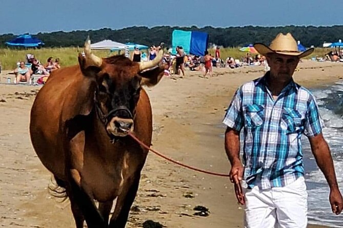 Martha Vineyard Bus Tour - The Only Tour with Four Official Stops to Explore