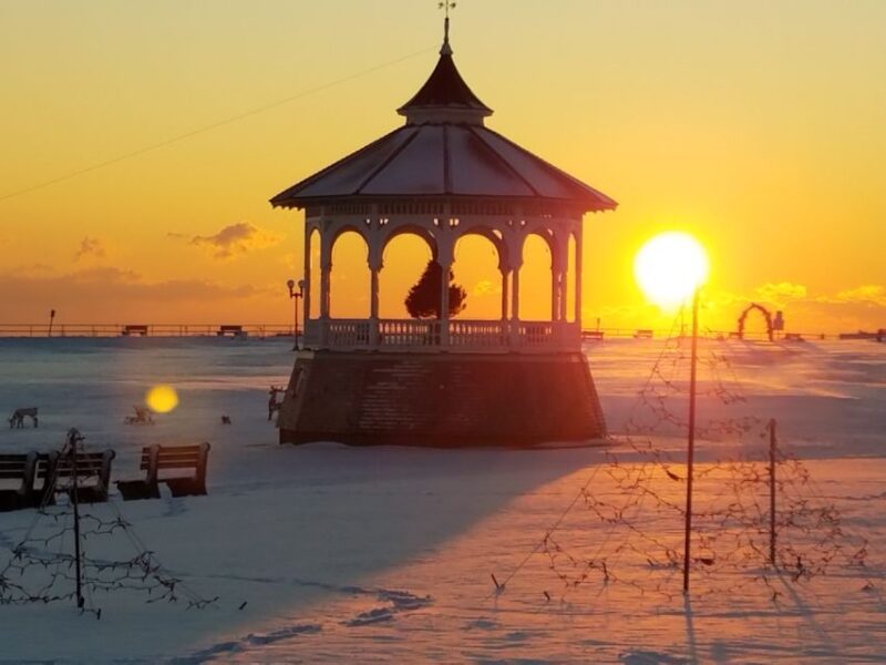 Martha's Vineyard: All Island Tour - JAWS Locations and the 50th Anniversary Focus