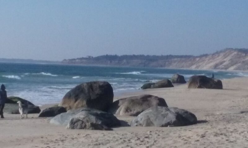 Martha's Vineyard: All Island Tour - Visiting Edgartown and the Whaling Heritage