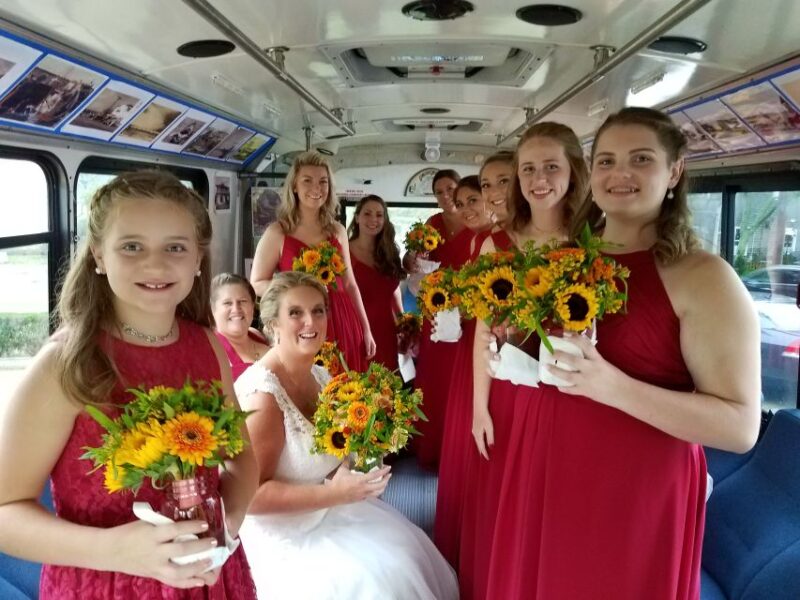 Martha's Vineyard: All Island Tour - Martha’s Vineyard: All Island Tour – A Practical Choice for Curious Visitors