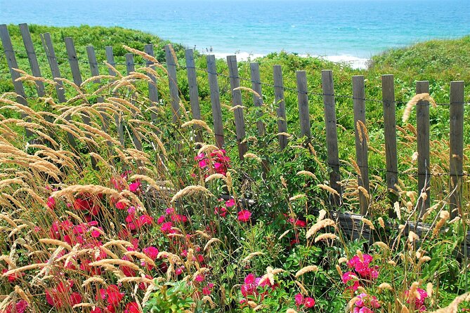 Martha's Vineyard Daytrip from Boston with Round-Trip Ferry & Island Tour Option - Considerations and Limitations