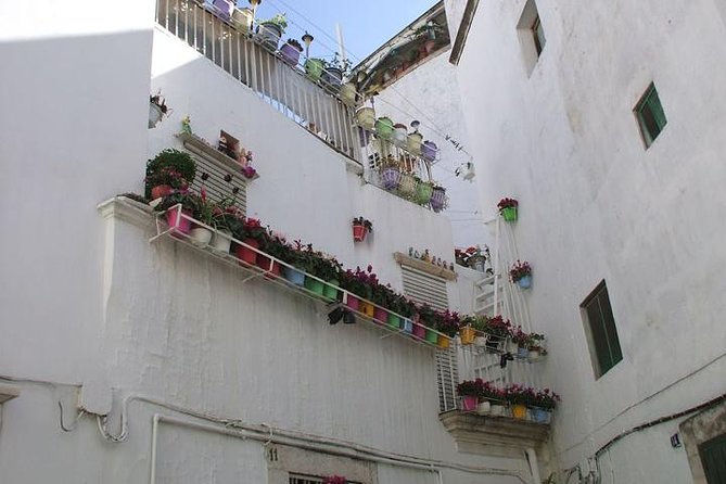 Martina Franca: a gem among Baroque and Rococo style with bocconotti tasting - Discover Martina Franca’s Architectural Charm and Sweet Flavors