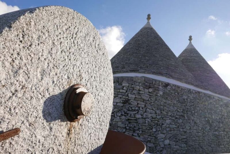 Martina Franca: Olive Oil Mill Tour & Tasting Experience - Visiting a Local Farm and Traditional Oil Production