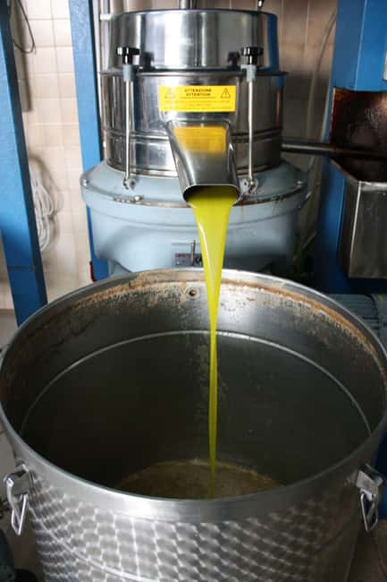 Martina Franca: Olive Oil Mill Tour & Tasting Experience - Location and Accessibility in Martina Franca