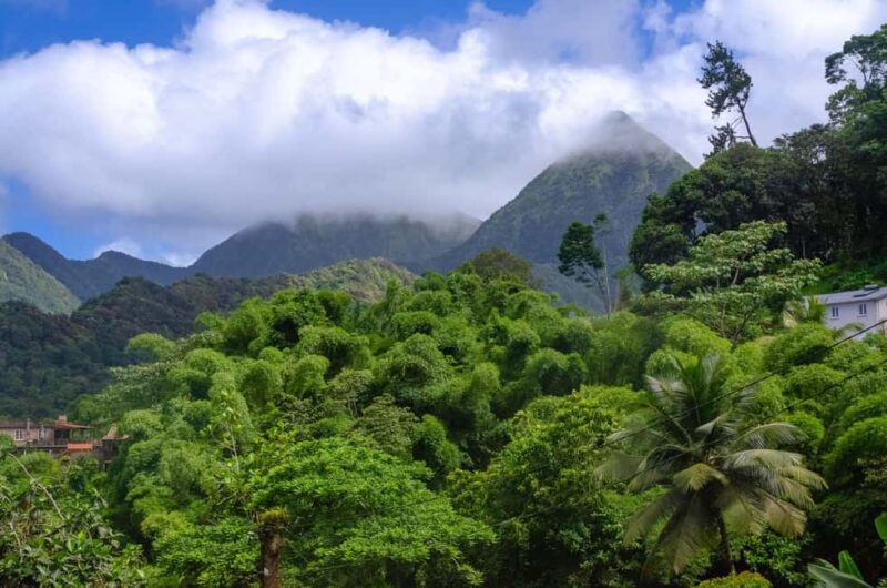 Martinique: Private Customizable Tour with Transfer - Discovering Martiniques Natural and Cultural Highlights