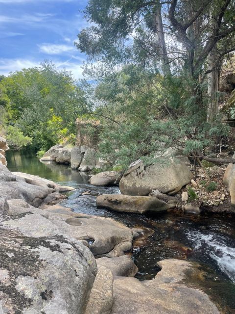 Marvão: Buggy & Quad Tours - The Role of the Live Tour Guide