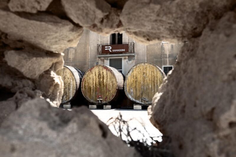 Marzamemi: Dioniso Wine Tour, Tasting & Typical Dishes - Who Will Enjoy the Dioniso Wine Tour?