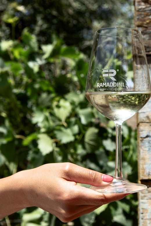 Marzamemi: Val di Noto Wine Tour, Wine Tasting & Aperitif - Discover Ramaddinis Winery and Its Heritage
