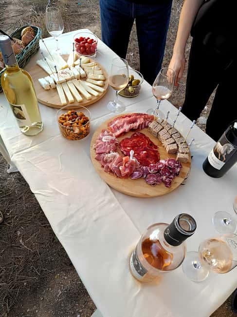 Mas Farchat: Wine tasting and tapas in the heart of nature - The Charm of Mas Farchat’s Sunset Vineyard Walk