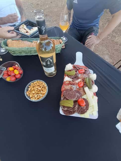 Mas Farchat: Wine tasting and tapas in the heart of nature - Guided Tour of Mas Farchat Estate