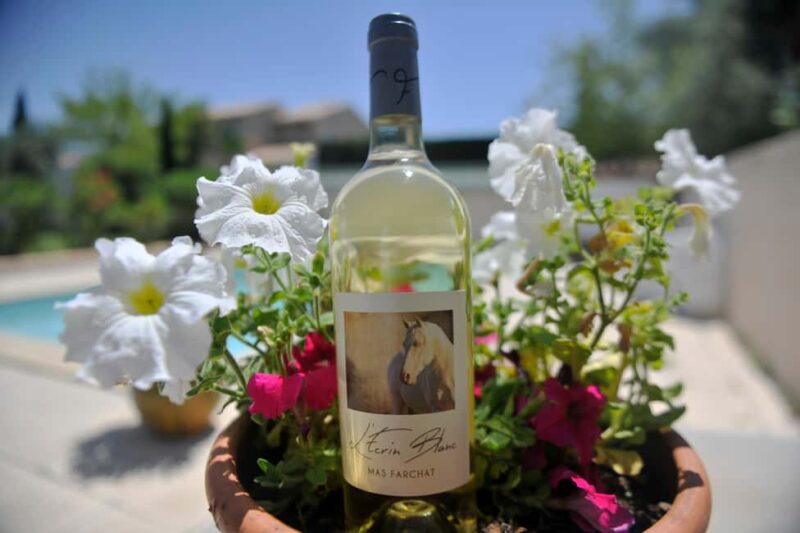 Mas Farchat: Wine tasting and tapas in the heart of nature - Practical Details and Booking Options