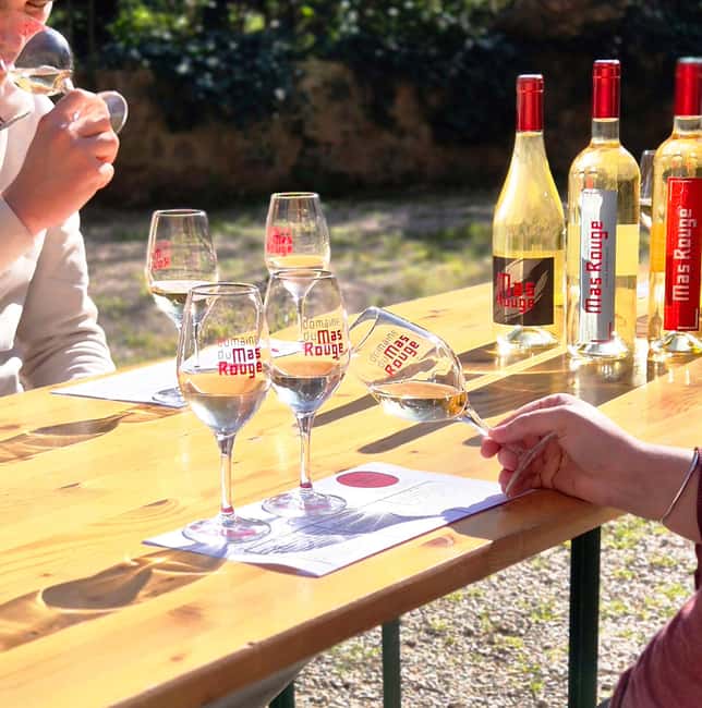 Mas Rouge: Tour and Tasting of Muscat near Montpellier - Key Points