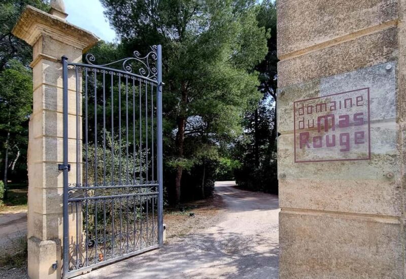 Mas Rouge: Tour and Tasting of Muscat near Montpellier - Exploring Mas Rouges Vibrant Terroir