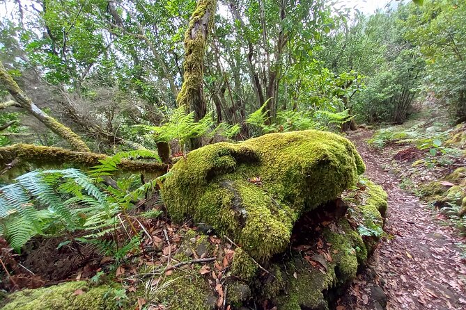 Masca from above - Flexibility and Cancellation Policy