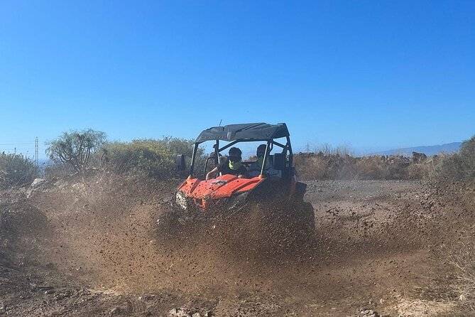 Masca Valley Adventure Guided Buggy Tour - Key Points