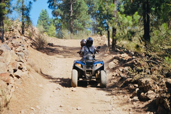 Masca Valley Guided Buggy Tour. Small Group. - Key Points