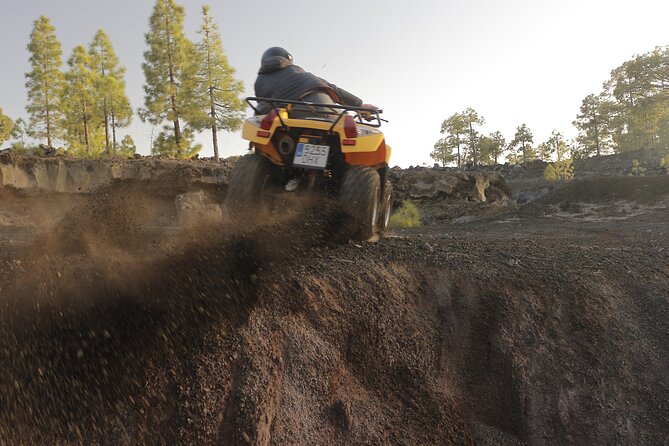Masca Valley Guided Buggy Tour. Small Group. - Exploring Masca Valley’s Dramatic Landscape