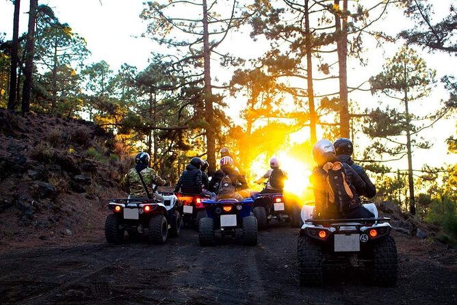 Masca Valley Guided Buggy Tour. Small Group. - Visiting the Highest Point of Masca and Photo Opportunities