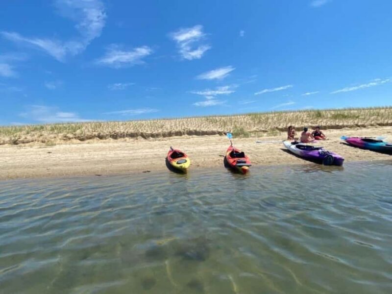 Mashpee: Paddle Board & Kayak Rentals - Equipment and Safety Gear Provided for Your Bay Exploration