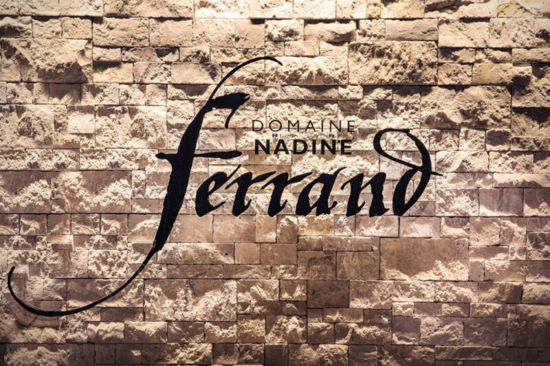 Mason: Visit and Tasting of the Estate's Wines - Practicalities and Logistics